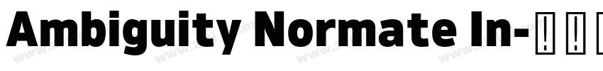 Ambiguity Normate In字体转换